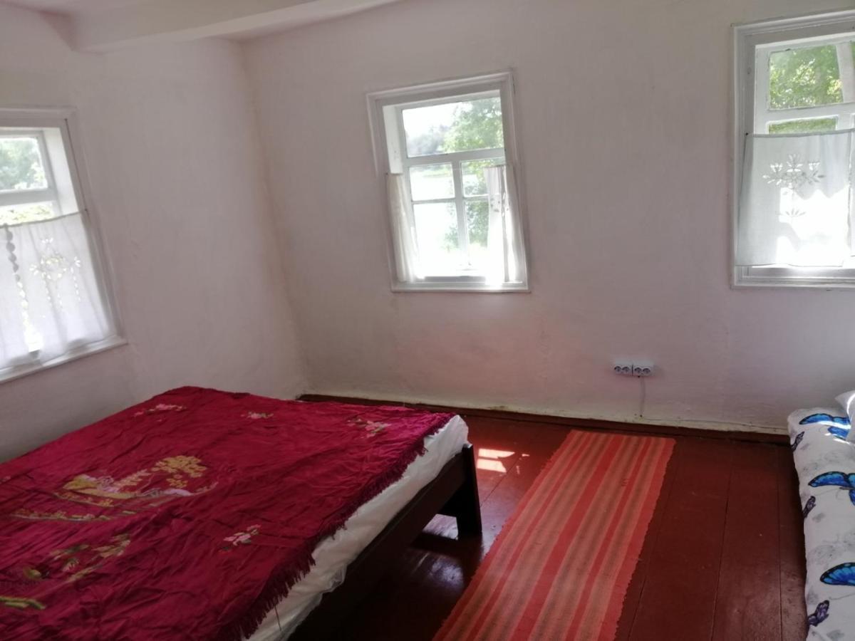 У Катерини Villa Dvozhets Buitenkant foto